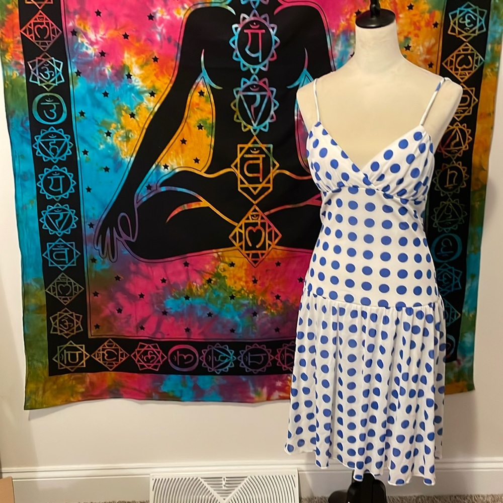 NWT! French blue polka dot dress!
